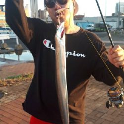 二回目のタチウオ～