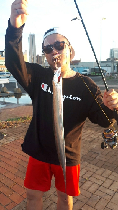 二回目のタチウオ～