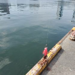 ダイソーエギ改