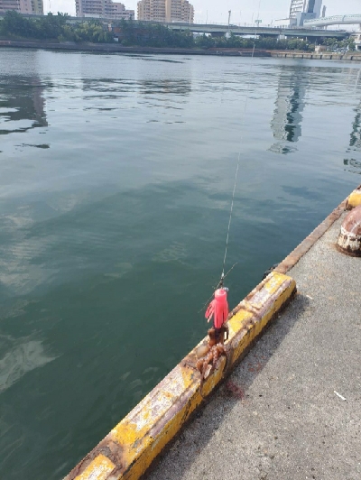 ダイソーエギ改