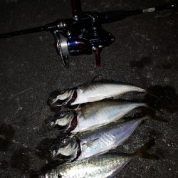 雨と雨の間にー