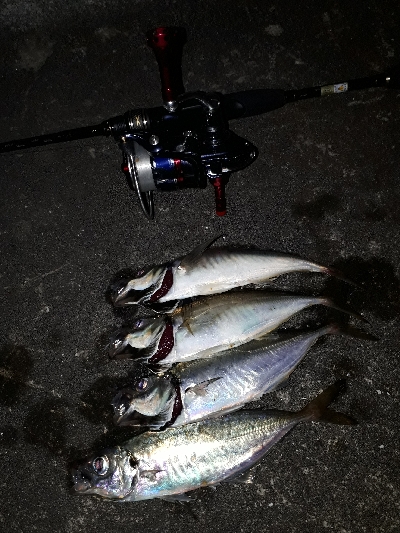 雨と雨の間にー