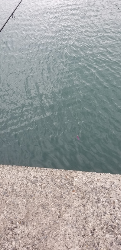 ルアーフィッシング