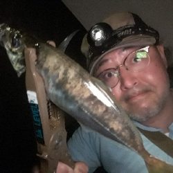 雨が止んだので・・・