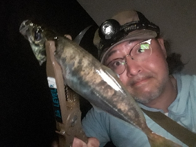 雨が止んだので・・・