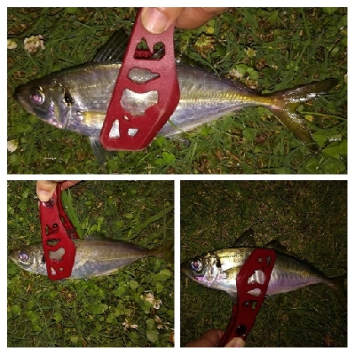 アジング1850〜1930 2110〜2146