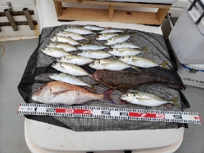 遊漁船SOUTH釣果