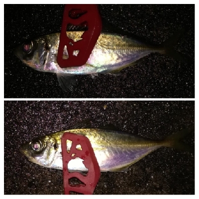 アジング1900〜2055