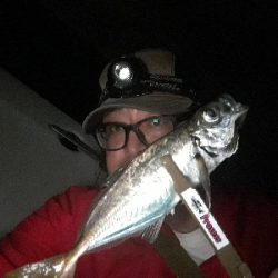 まだ、アジはおるかぇー?