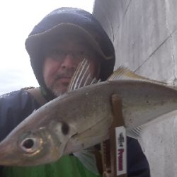 雨にも負けず(笑)