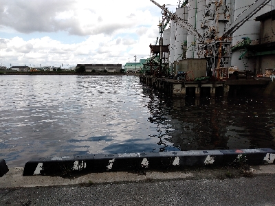 リベンジで黒鯛ゲット