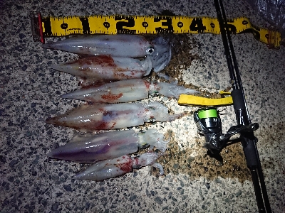 仕事終わりケンサキイカ狙い