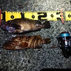 ちょこっとメバリング