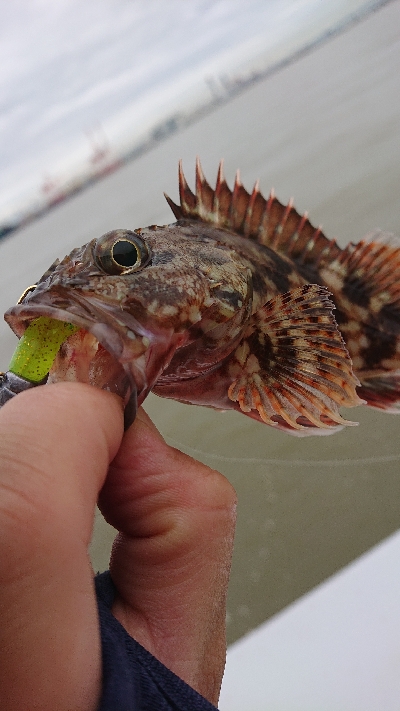 南港ガシリング