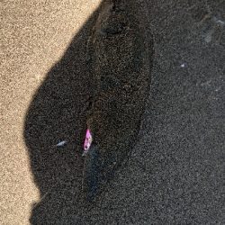 これじゃない。