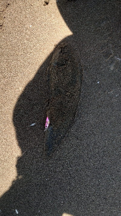 これじゃない。