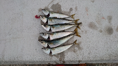 やっぱりサバゲー