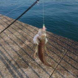 朝7時からの2時間