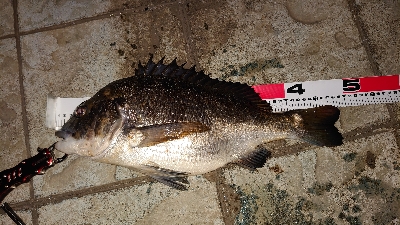 ラッキーヒット