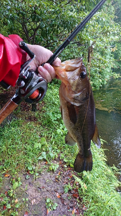 ライトパンチング