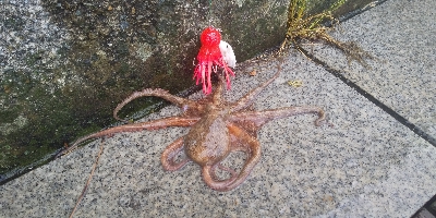 雨の中…　とりあえずちょっと1杯