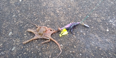 雨に打たれて…