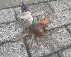 雨あとのコスモスクエア