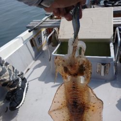 梅雨の晴れ間にボートエギング