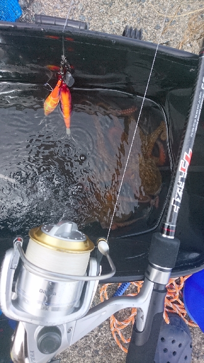 なんとか２杯、ばらしも２杯