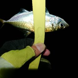 ボトムネチネチ