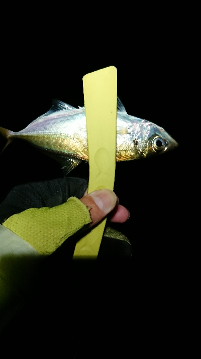 ボトムネチネチ