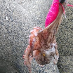 最後にハプニング