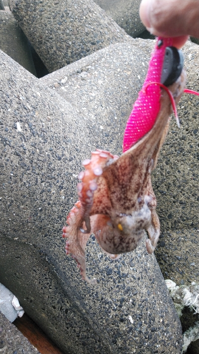 最後にハプニング