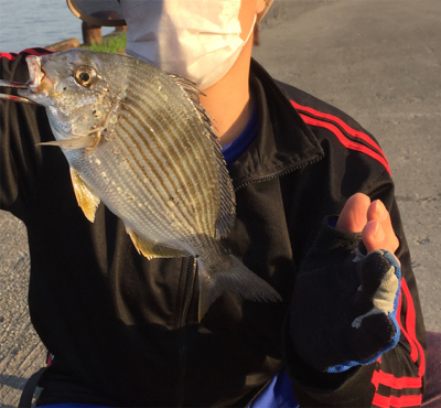 謎な魚が釣れた！