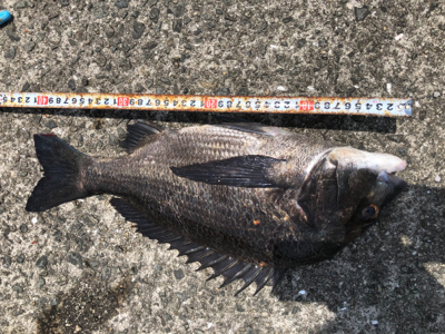 1本満足〜1本満足〜ッ♫！