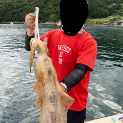 ヤエンリベンジ釣行