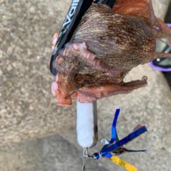 仕事帰り短時間勝負！