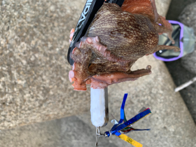 仕事帰り短時間勝負！