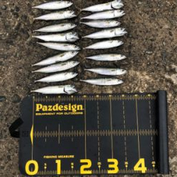 雨が降るまで…