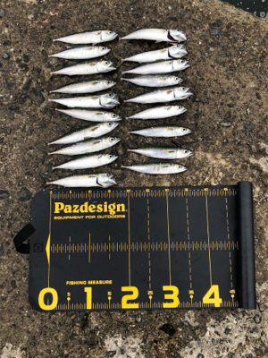 雨が降るまで…