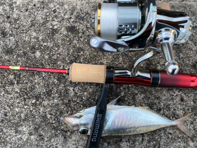 アジングアジング楽しいな