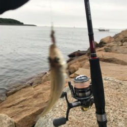 キス引き釣り(^^)