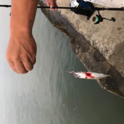 親父たち久々‼️