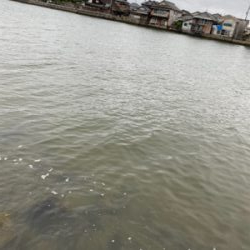 トップチニング