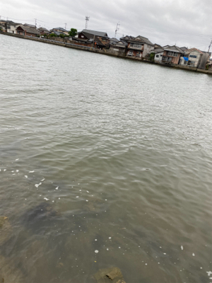 トップチニング