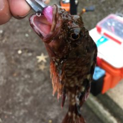 風　強っ（笑）