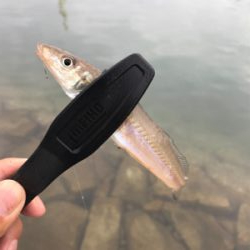 キスちょい投げ