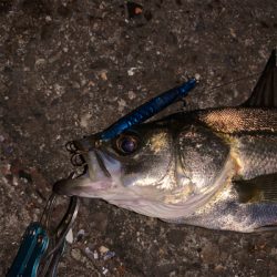 とにかく乗らない…