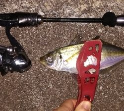 アジング1850〜2020