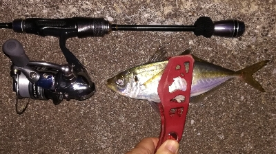 アジング1850〜2020